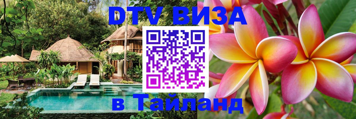 Сколько стоит DTV виза — актуальные цены, оформление даже без документов - Химки  07.12.2025 